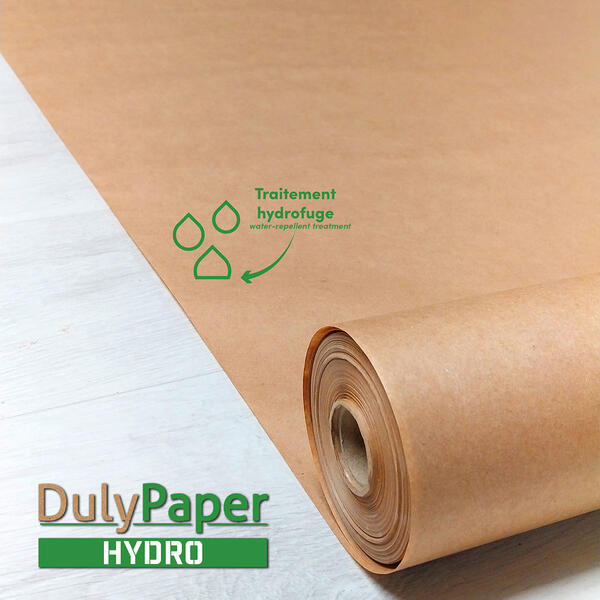 dulypaper-hydro-site-web