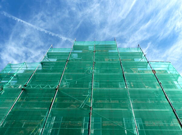 Scaffold mesh